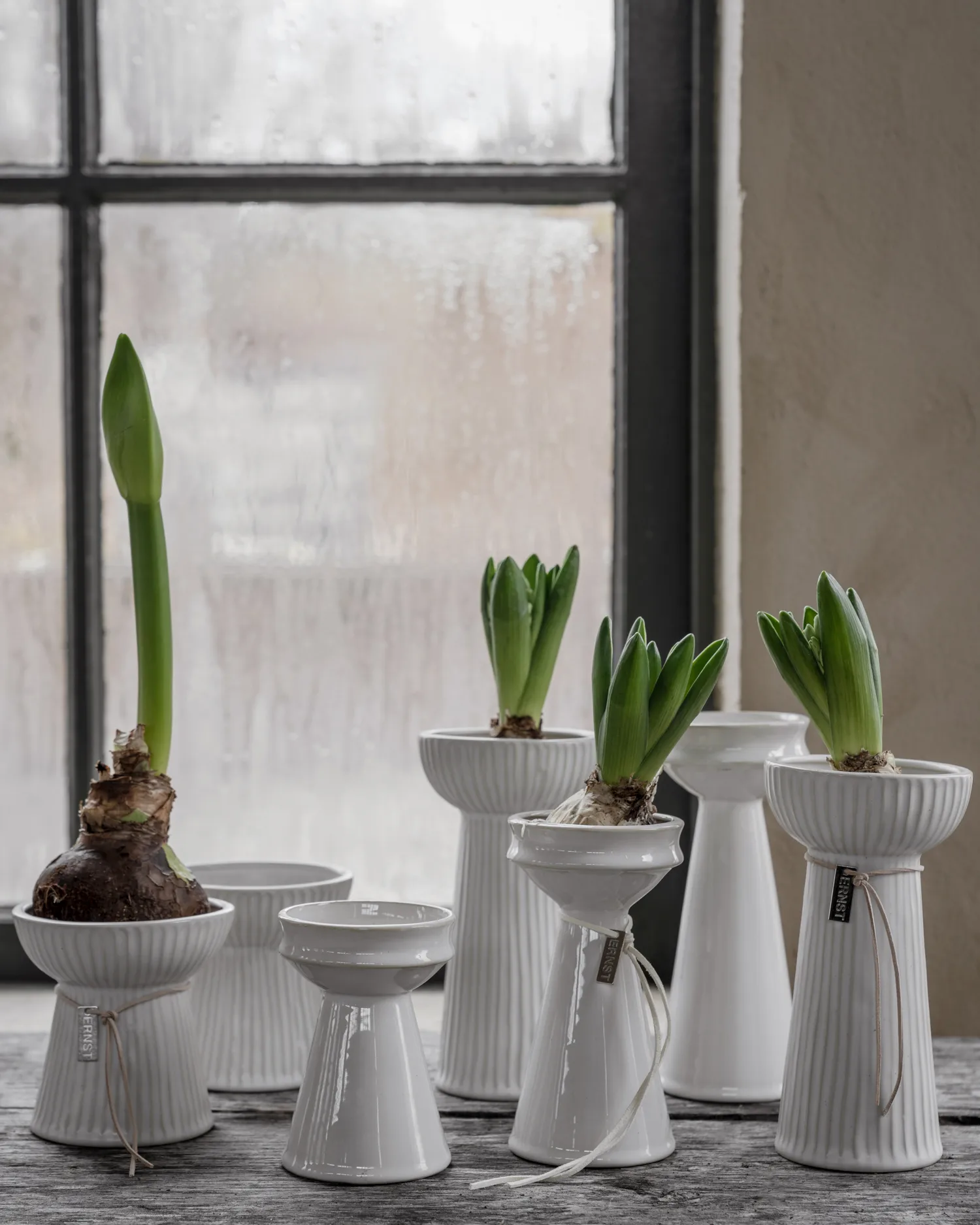 Vaso per bulbi Ernst scanalato 11 cm, Bianco naturale ERNST