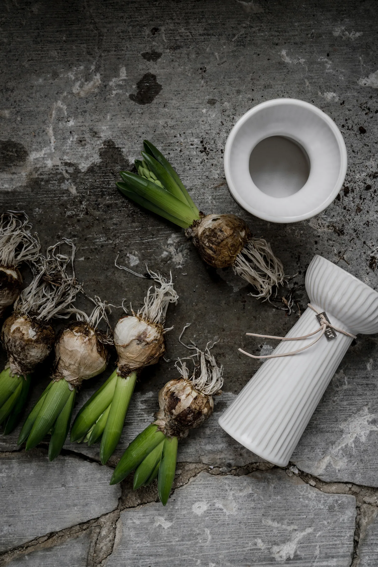 Vaso per bulbi Ernst scanalato 19 cm, Bianco naturale ERNST