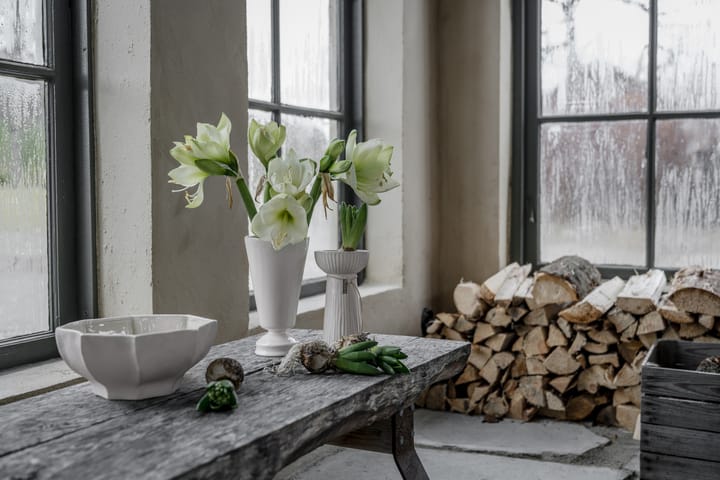 Vaso per bulbi Ernst scanalato 19 cm, Bianco naturale ERNST