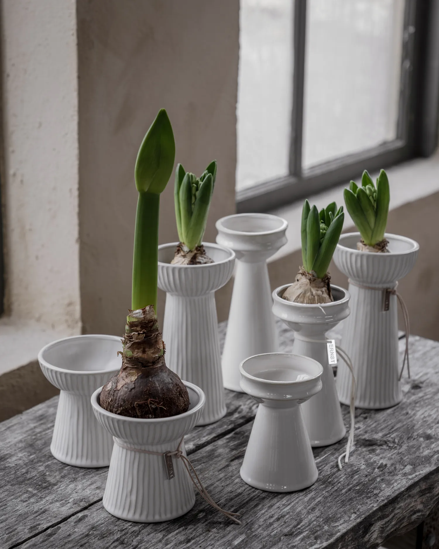 Vaso per bulbi Ernst scanalato 19 cm, Bianco naturale ERNST