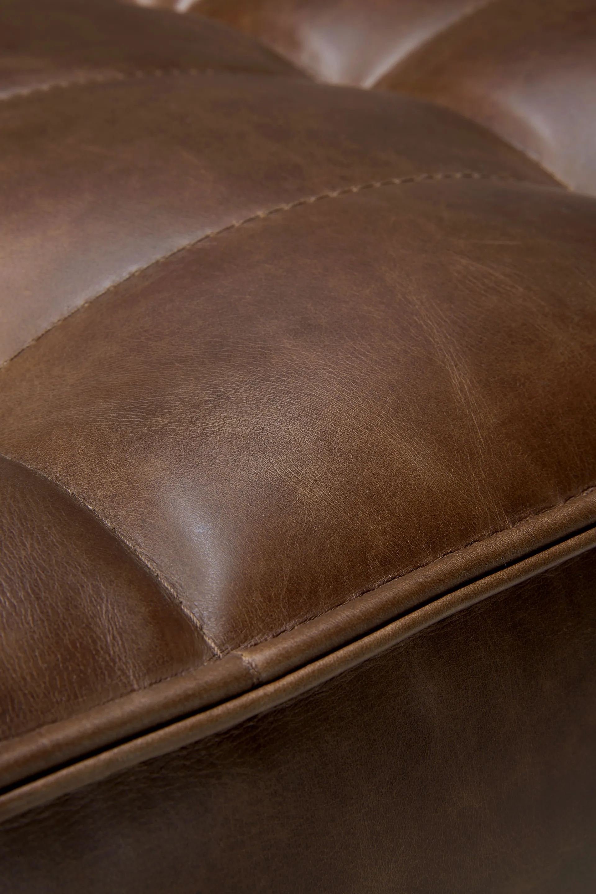 Divano N701 a 2 posti, Pelle Chestnut Ethnicraft