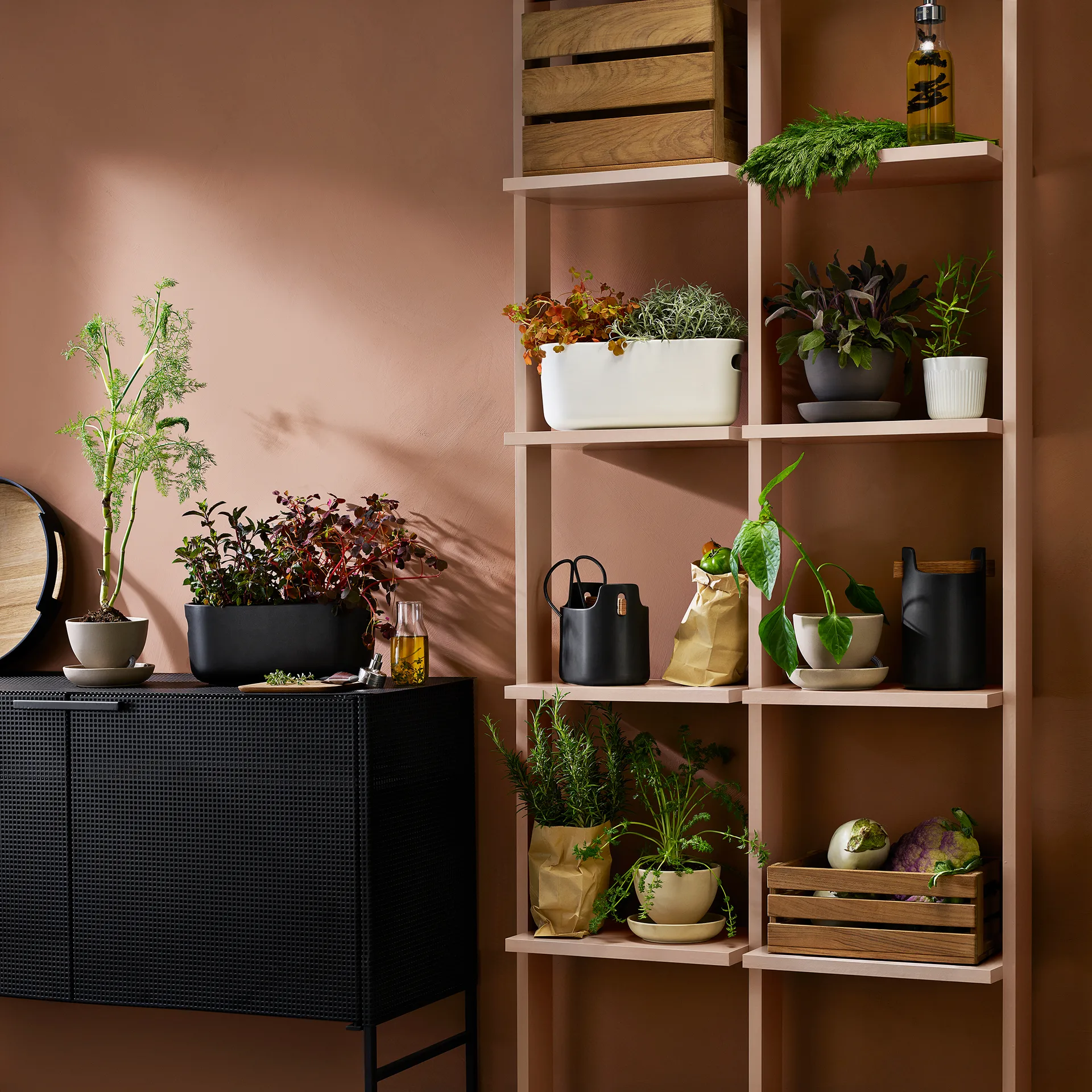 Organizer per erbe aromatiche autoirrigante Eva Solo, nero Eva Solo