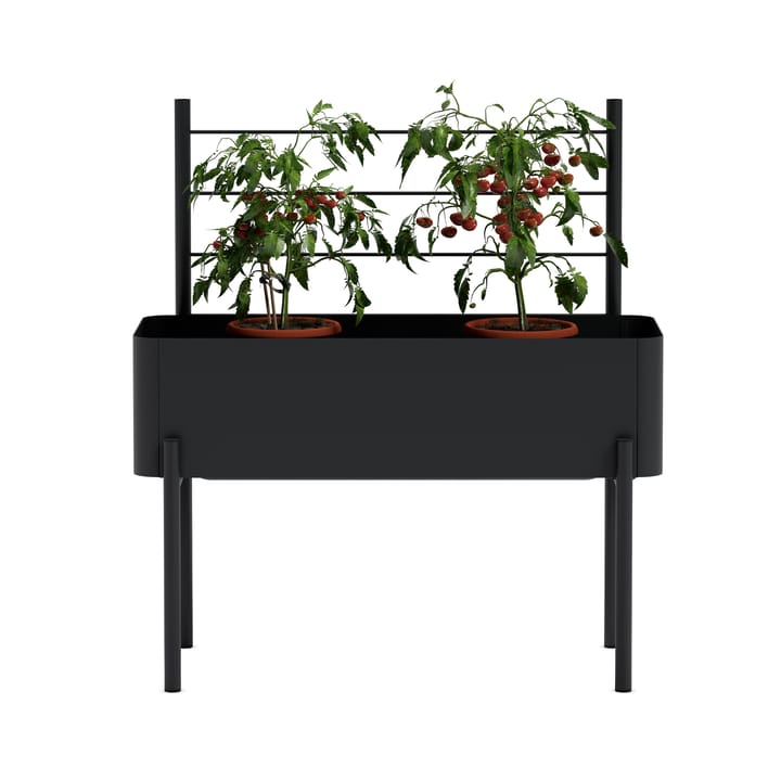 Traliccio per cassetta da coltivazione Simply Grow , Nero Eva Solo