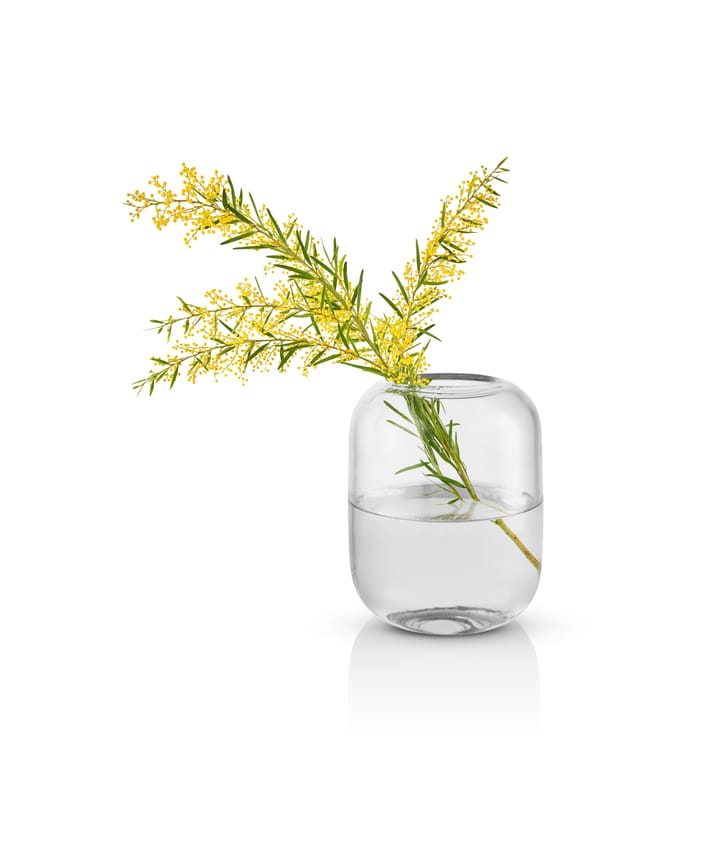 Vaso Acorn 16,5 cm, Trasparente Eva Solo