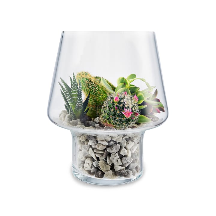 Vaso in vetro Eva Solo per piante grasse, Ø 15 cm
​ Eva Solo