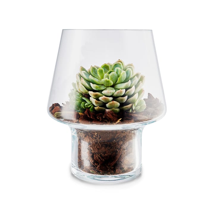 Vaso in vetro Eva Solo per piante grasse, Ø 15 cm
​ Eva Solo