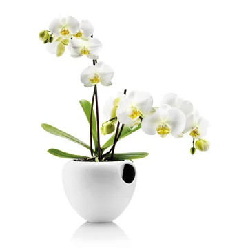 Vaso per orchidee Eva Solo - bianco - Eva Solo