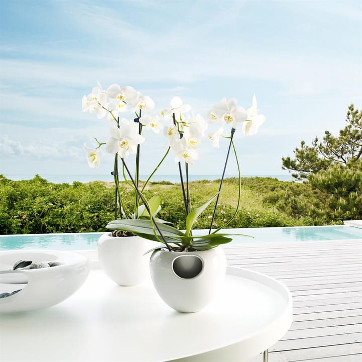 Vaso per orchidee Eva Solo, bianco Eva Solo