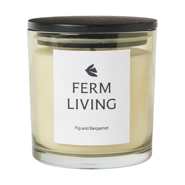 Candela profumata Vitto 45 h - Light Celedon - Ferm Living