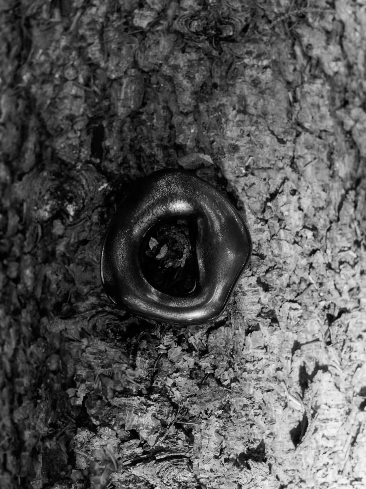 Decorazione Orrith 2 pezzi, Bronzo rustico Ferm Living