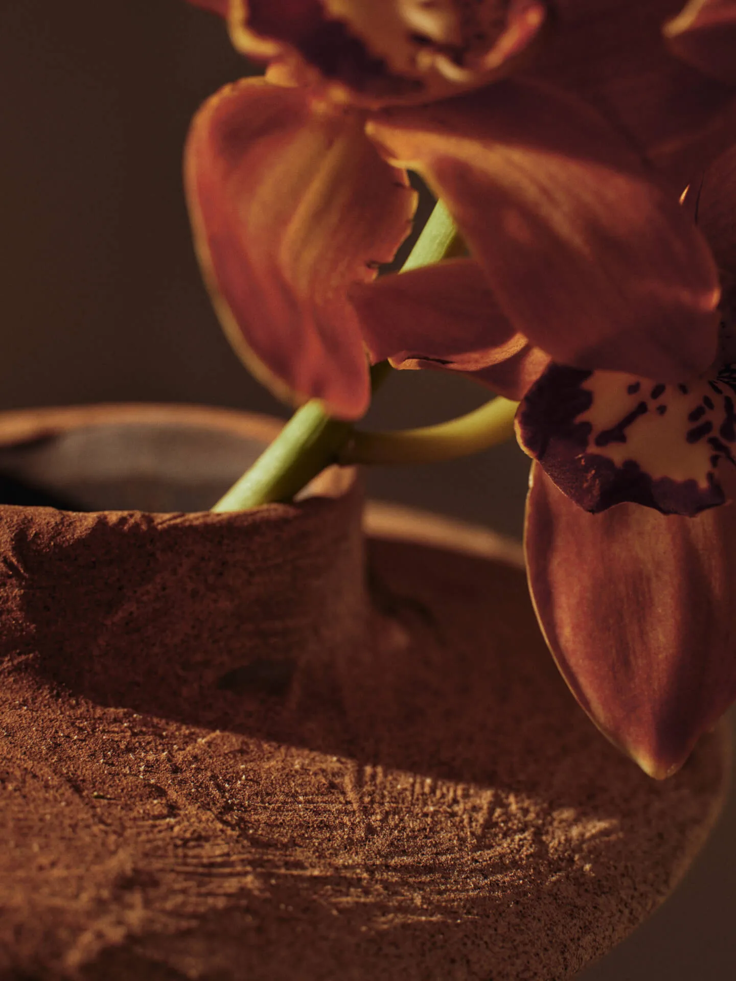 Evio vaso, Terra d’ombra bruciata, Ø25×22 cm Ferm Living