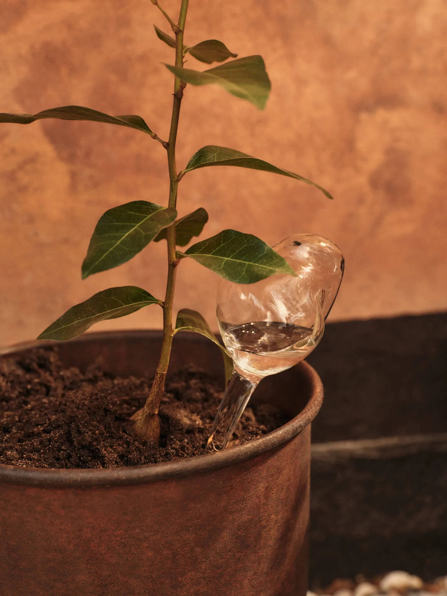 Irrigatore a sfera Mercury 2 pezzi, Clear, 12x18,5 cm Ferm Living