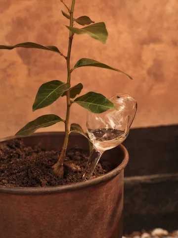 Irrigatore a sfera Mercury 2 pezzi - Clear, 12x18,5 cm - Ferm Living