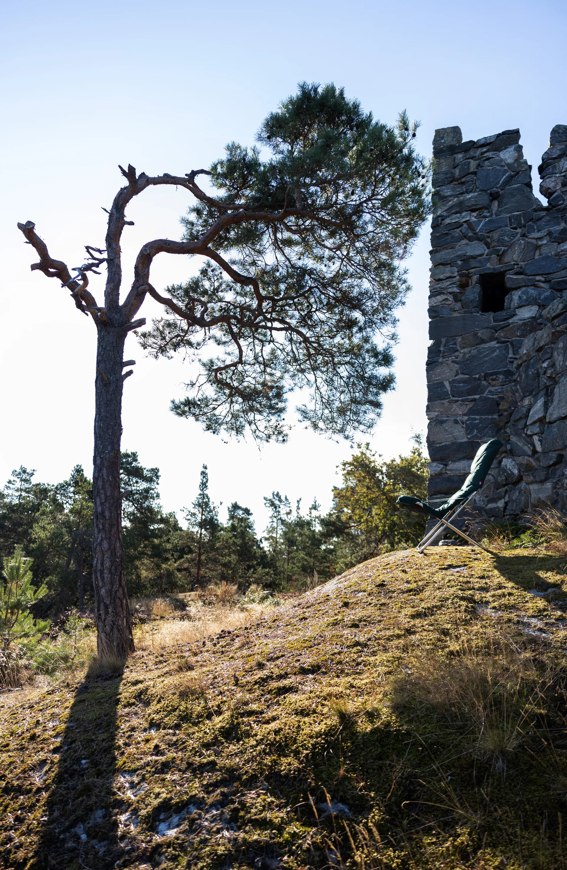 Sedia a sdraio Fiesta Soft, Tessuto verde scuro - telaio in alluminio Fiam