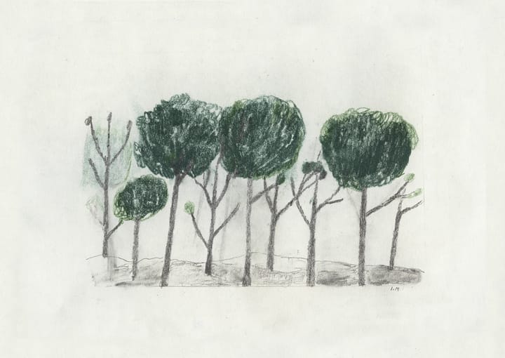 Poster Trees 50x70 cm - Nero-bianco sporco - Fine Little Day