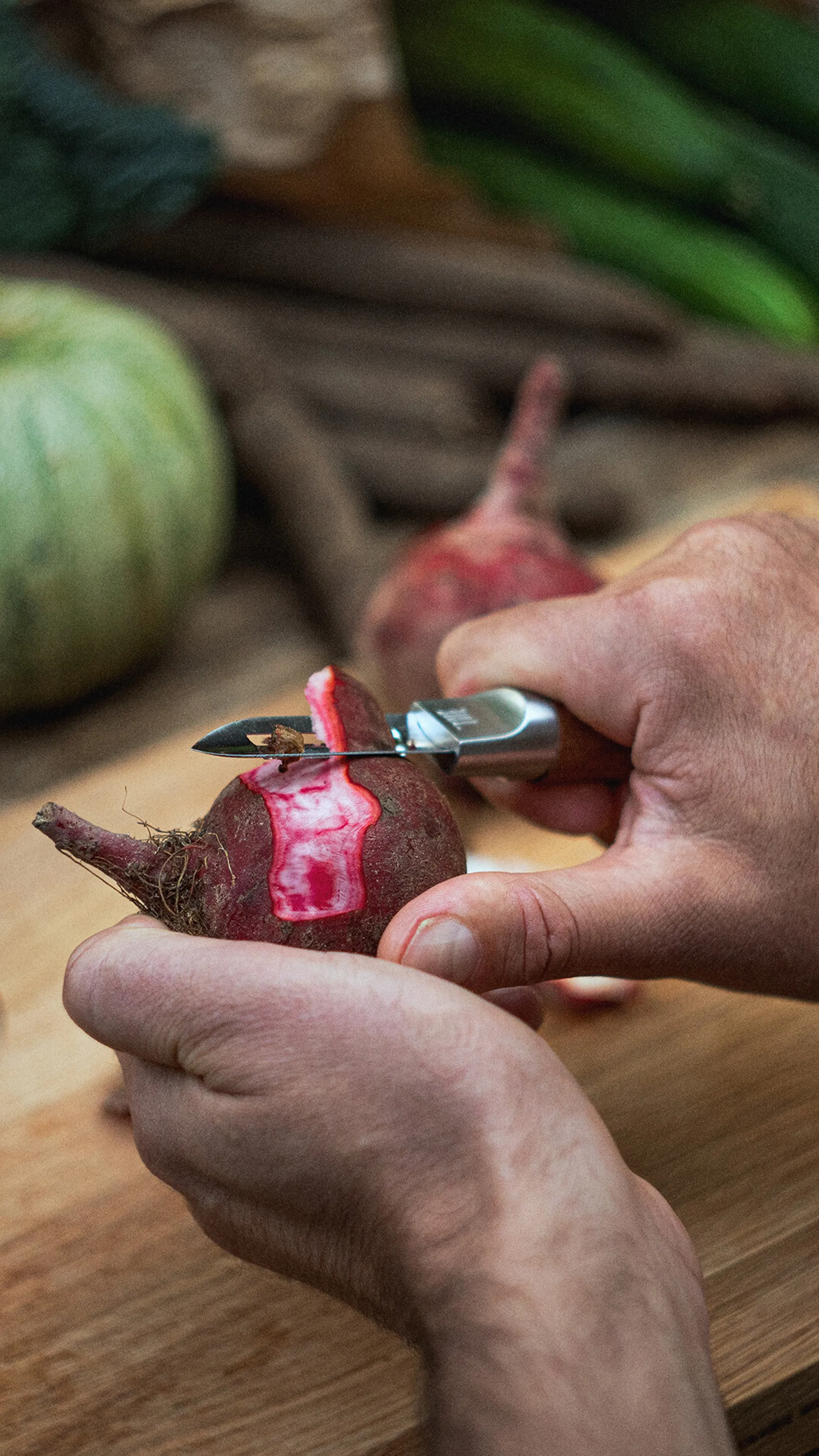 Pelapatate Norden, Acciaio inox, betulla Fiskars