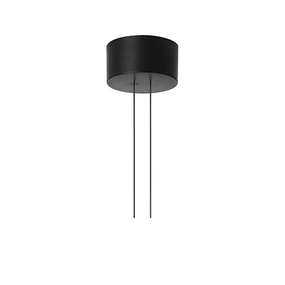 Arrangement Rose cupola da soffitto, Black, big Flos