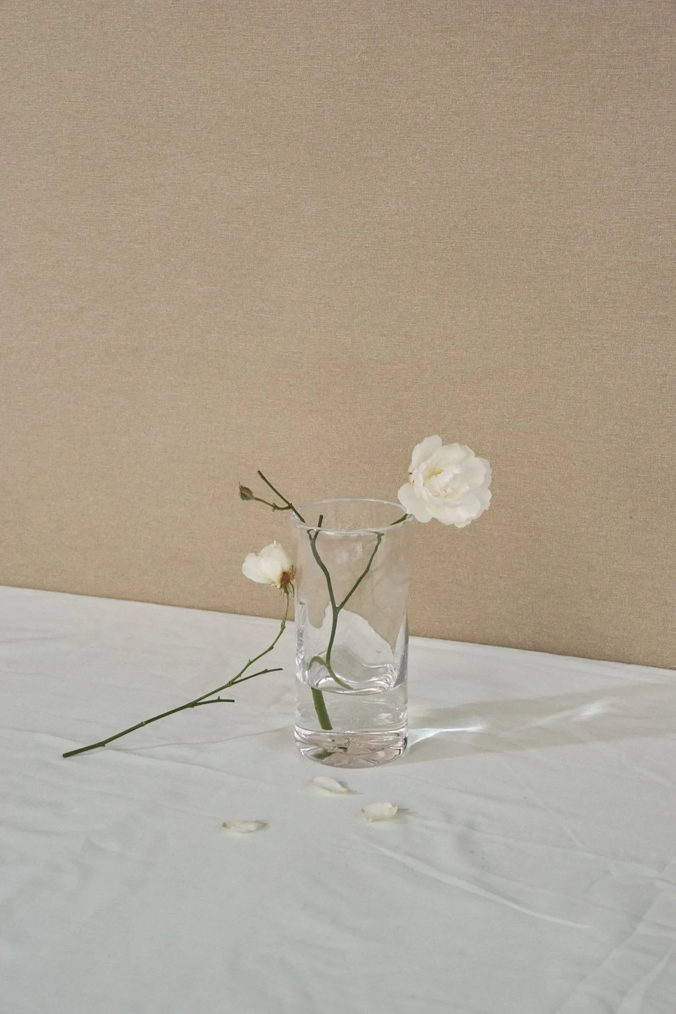 Vaso 0405, Trasparente, Ø9,5x20 cm FRAMA
