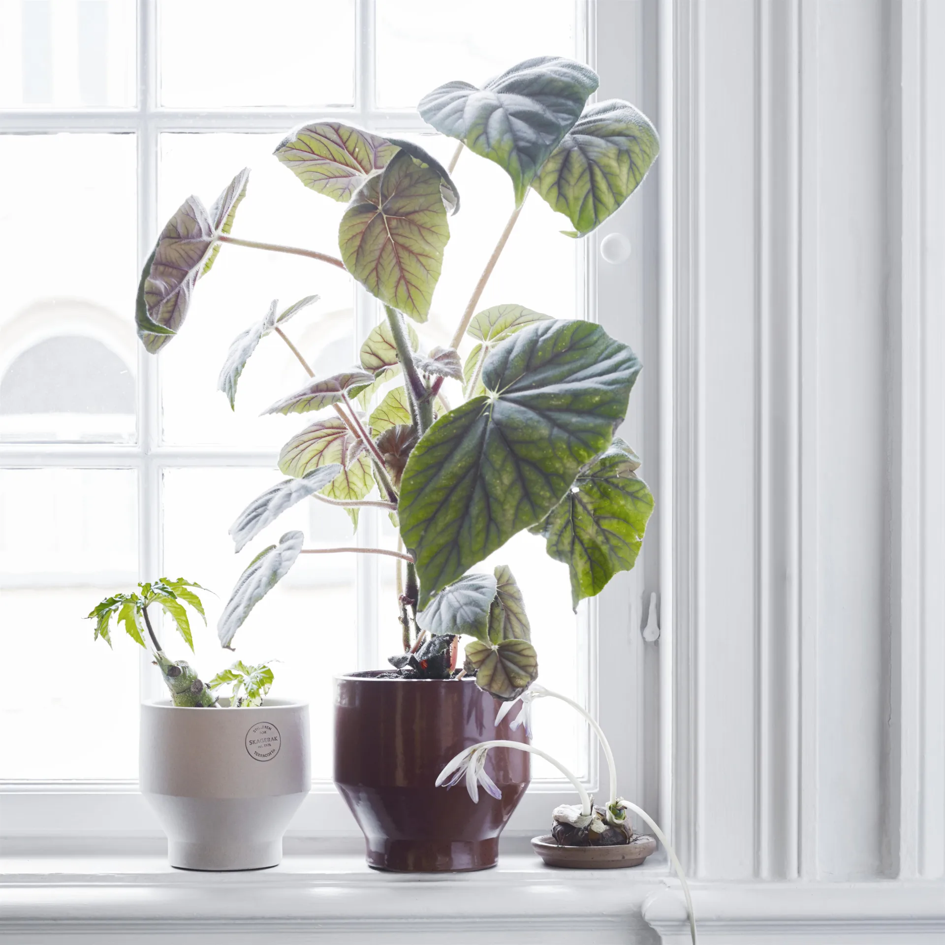 Vaso (per interni) Edge Ø18 cm, Rosso bruciato Fritz Hansen