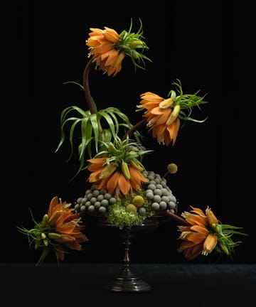 Spillo per fiori Garden Glory Flower Frogs - Medium - Garden Glory
