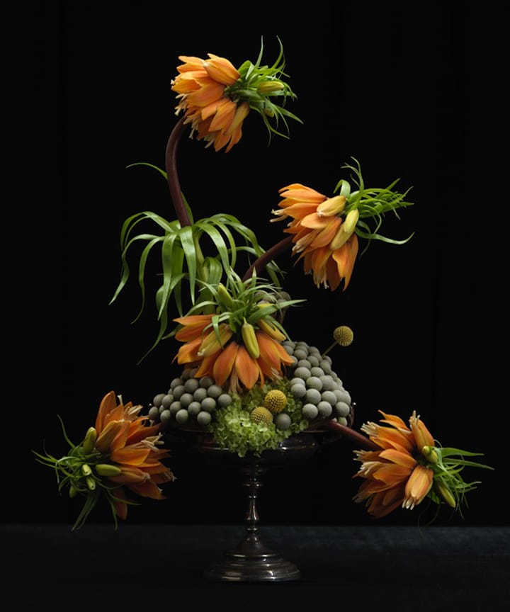 Spillo per fiori Garden Glory Flower Frogs, Medium Garden Glory