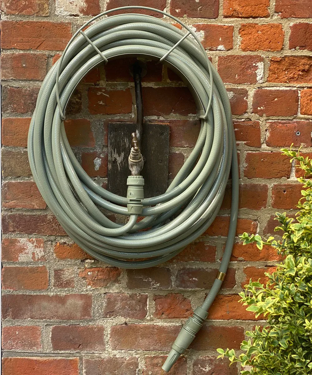 Supporto da parete Garden Glory classic, Eucalyptus leaf Garden Glory