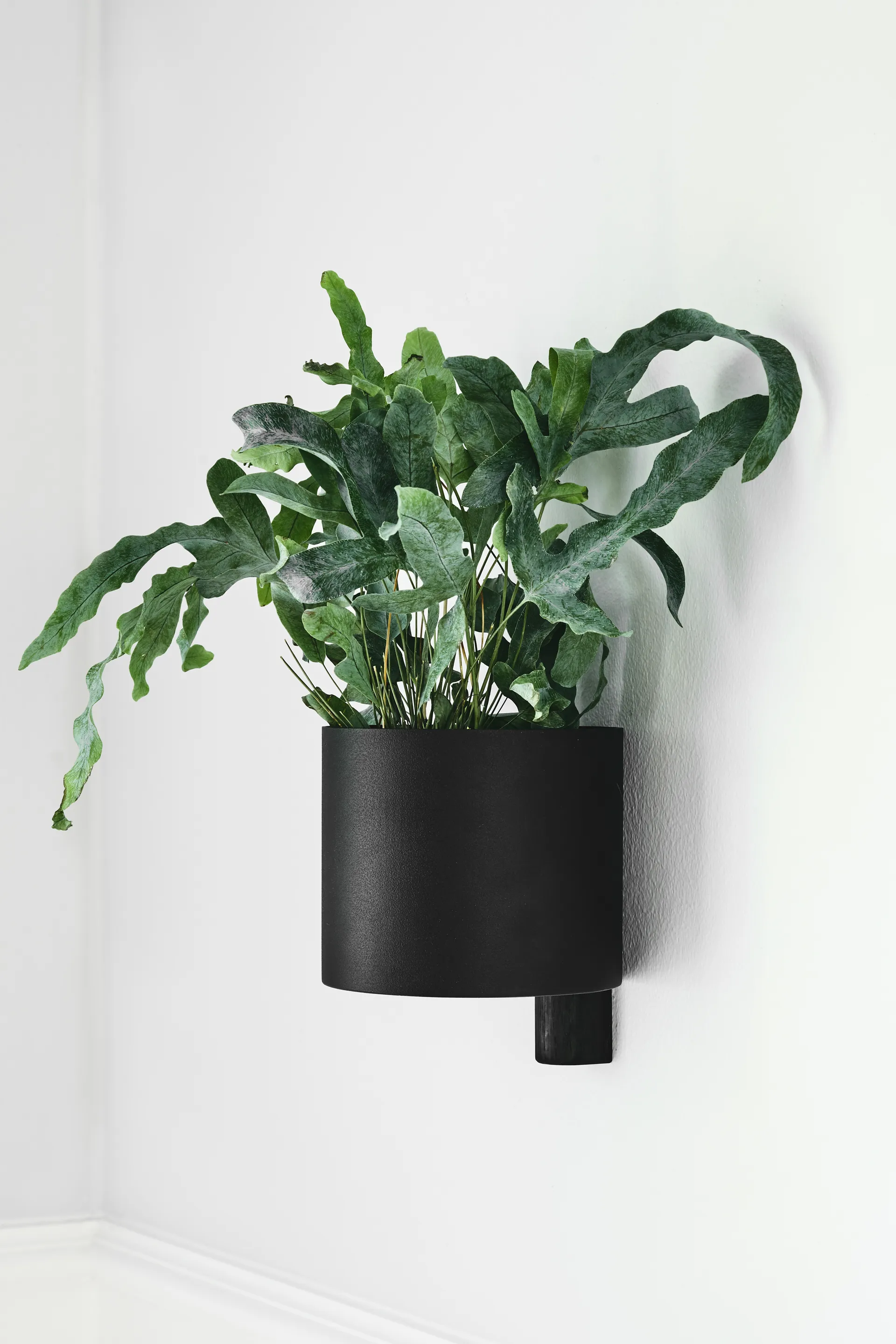 Vaso da fiori Kollage Ø 14 cm, Nero-rovere Gejst