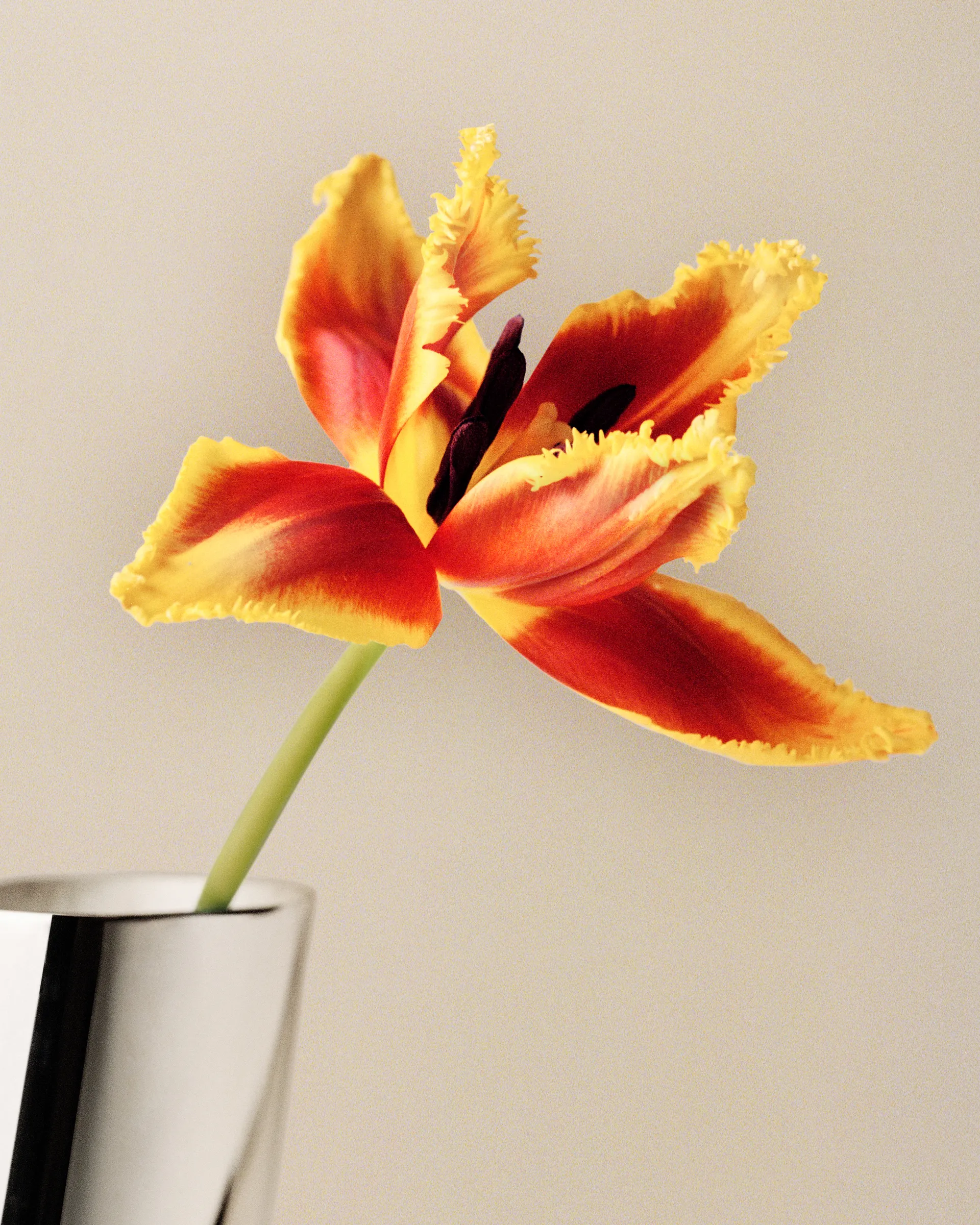 Vaso grande Lituus 34,2 cm, Acciaio inossidabile Georg Jensen