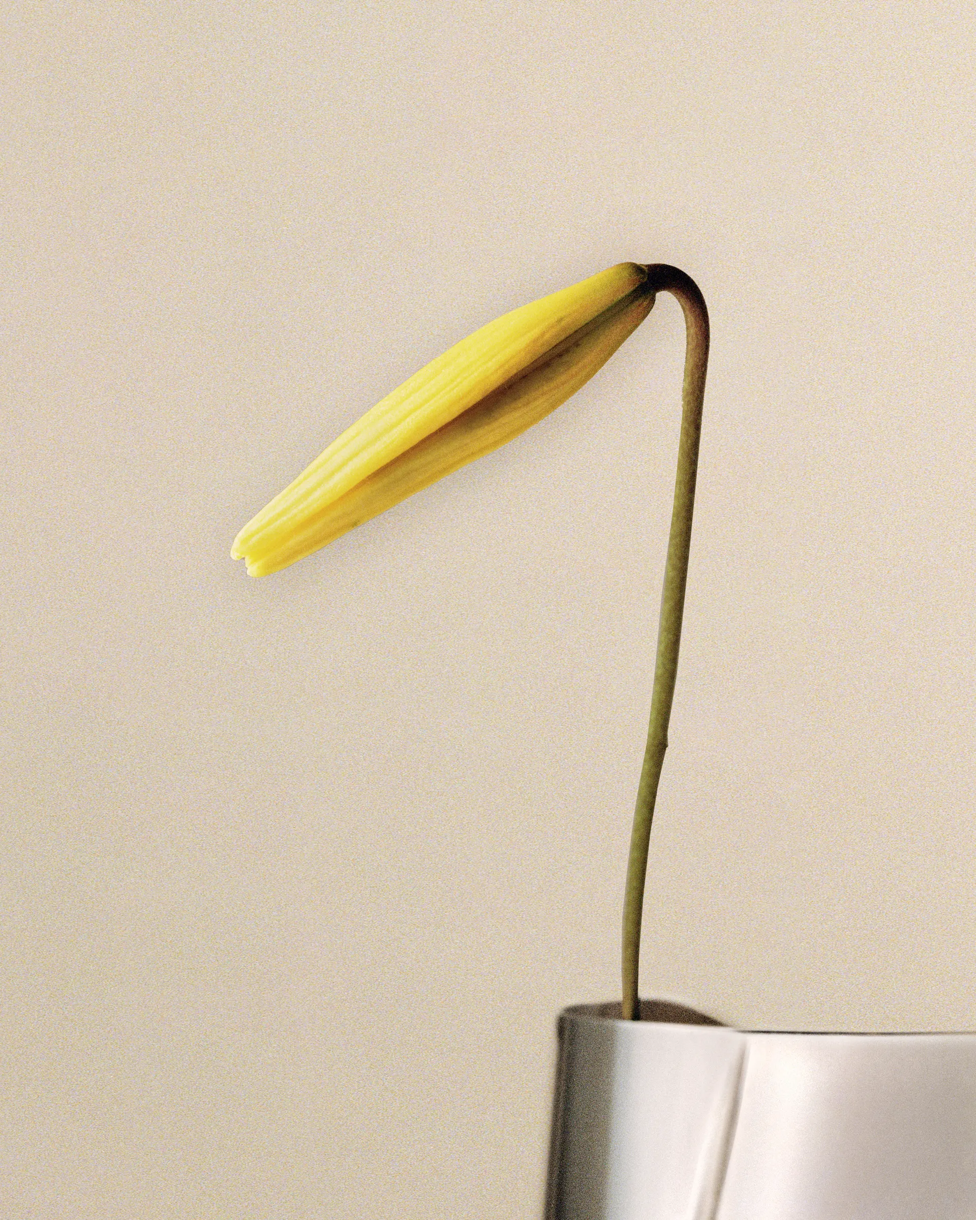 Vaso grande Lituus 34,2 cm, Acciaio inossidabile Georg Jensen