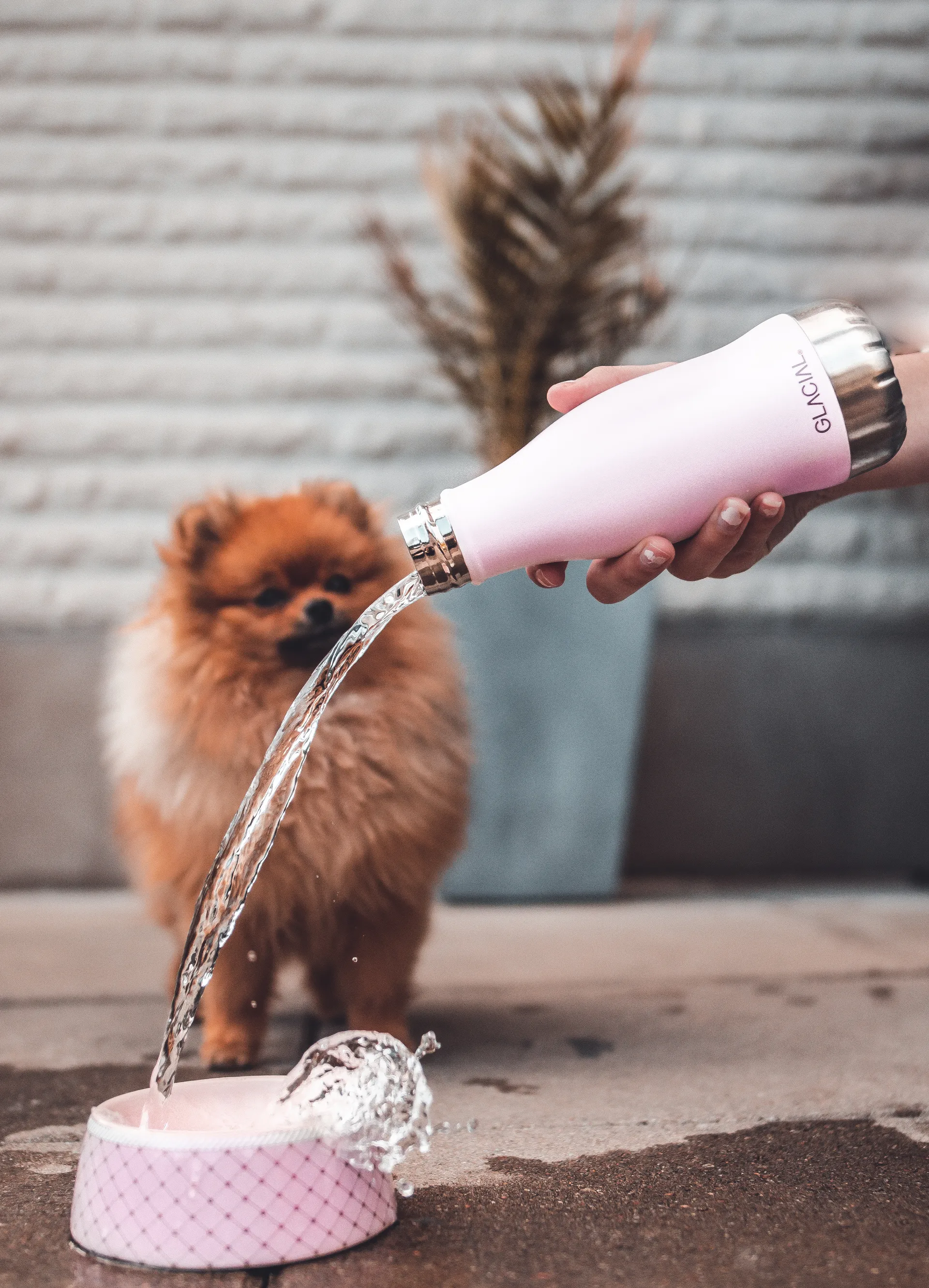 Bottiglia Glacial 280 ml, Matte pink powder Glacial