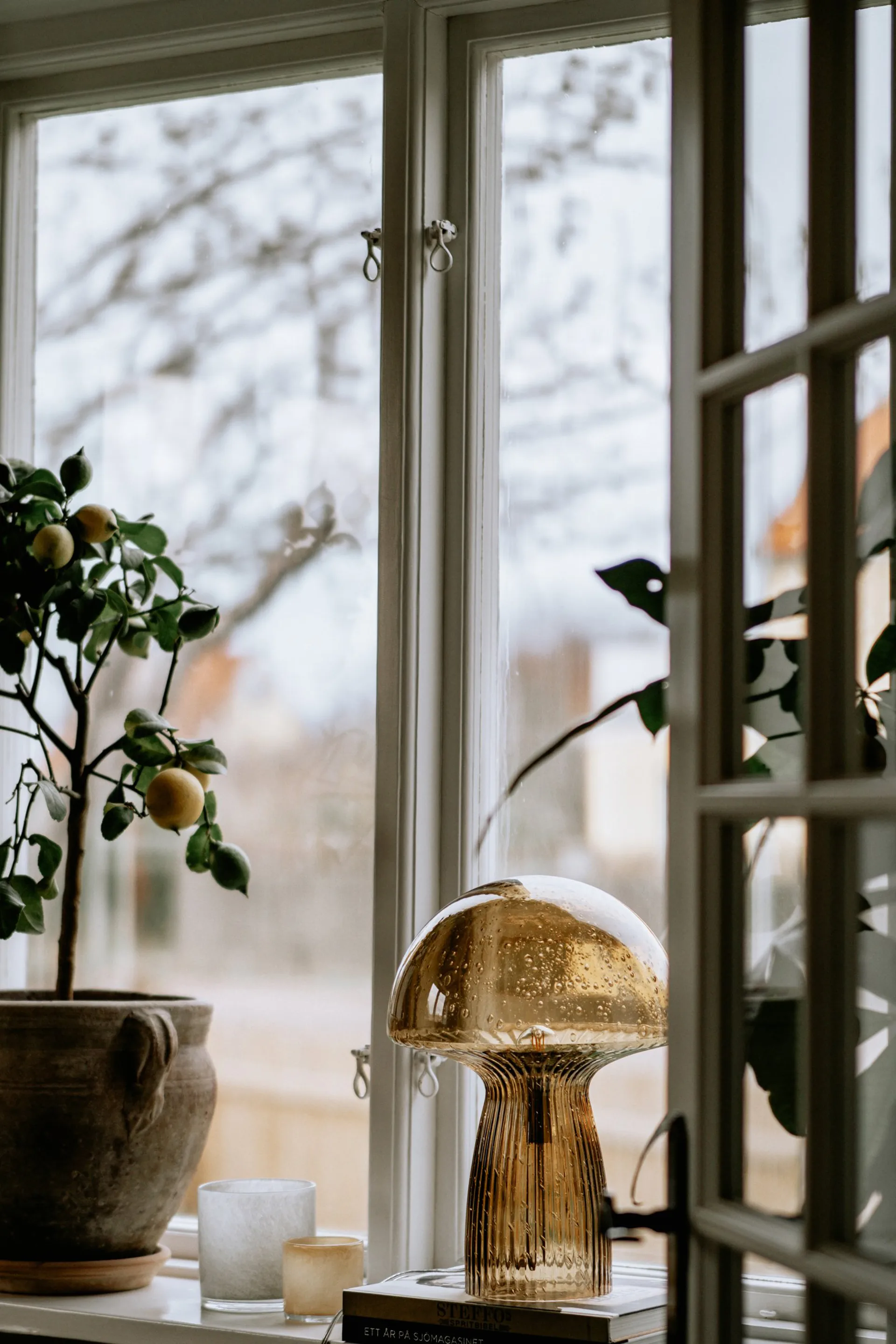 Lampada da tavolo Fungo Special Edition Marrone, Ø30 cm H42 cm Globen Lighting