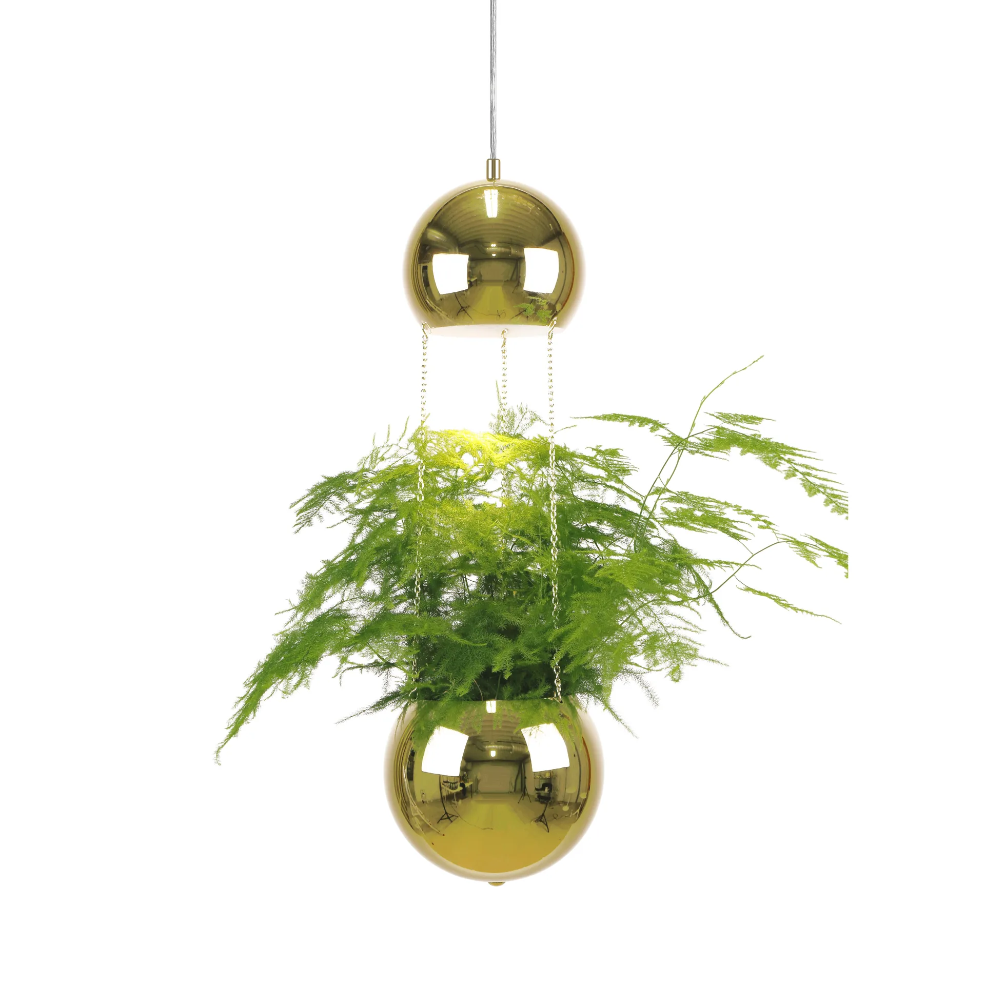 Plafoniera con vaso da fiori Planter, ottone Globen Lighting
