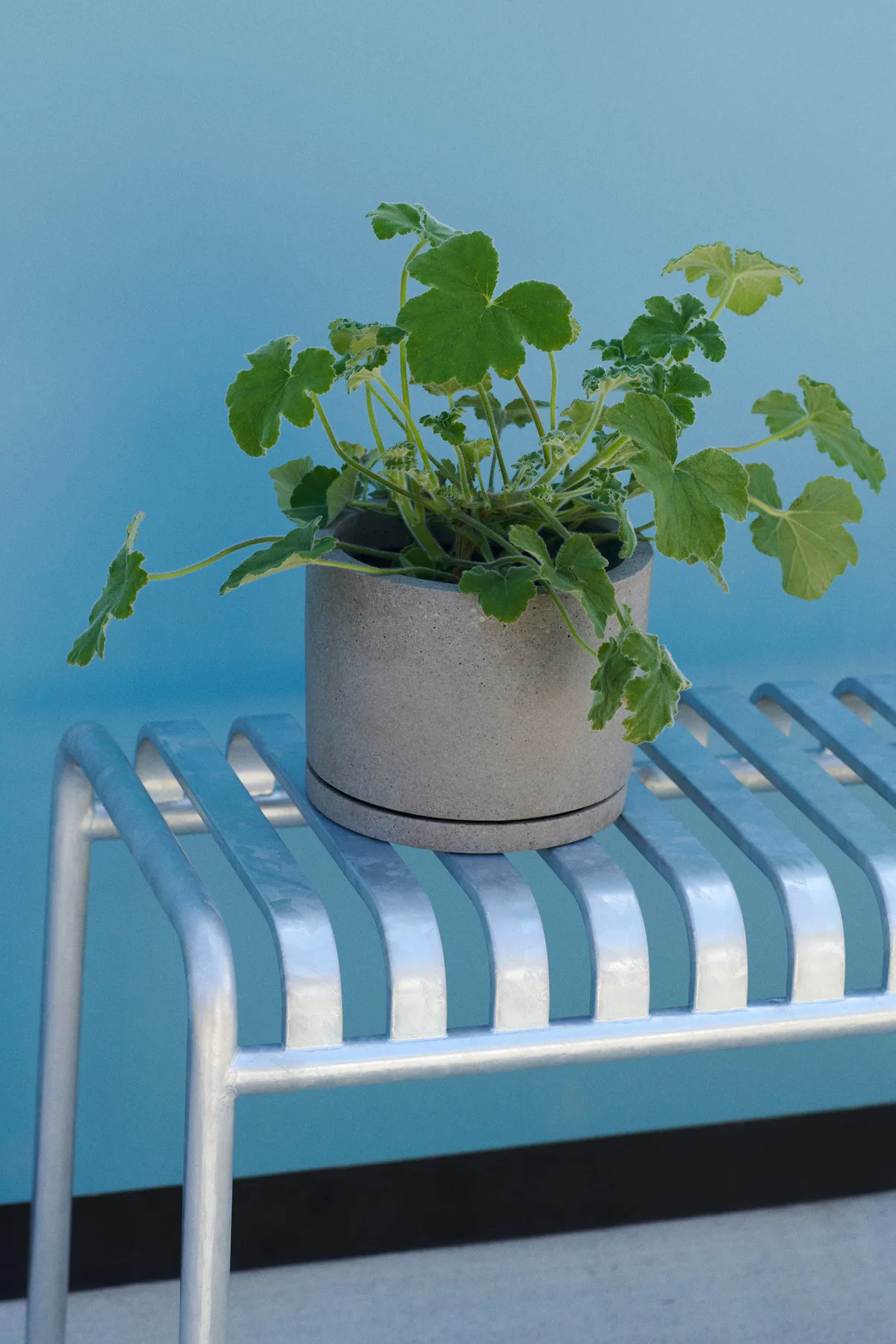 Panca 120x42 cm Palissade, Hot galvanised HAY