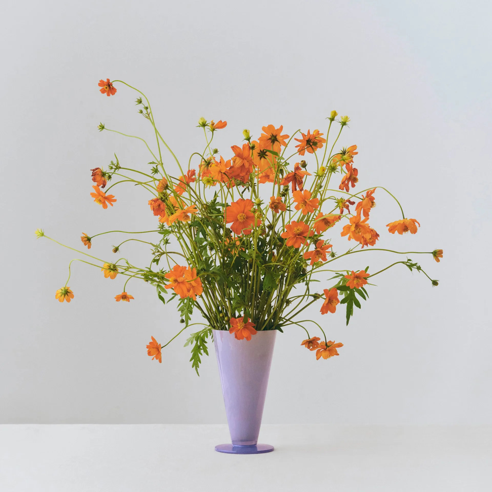 Vaso Conical, Light blue-lavender blue, small HAY