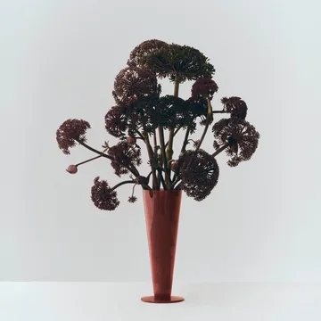 Vaso Conical - Rose-dark red, medium - HAY