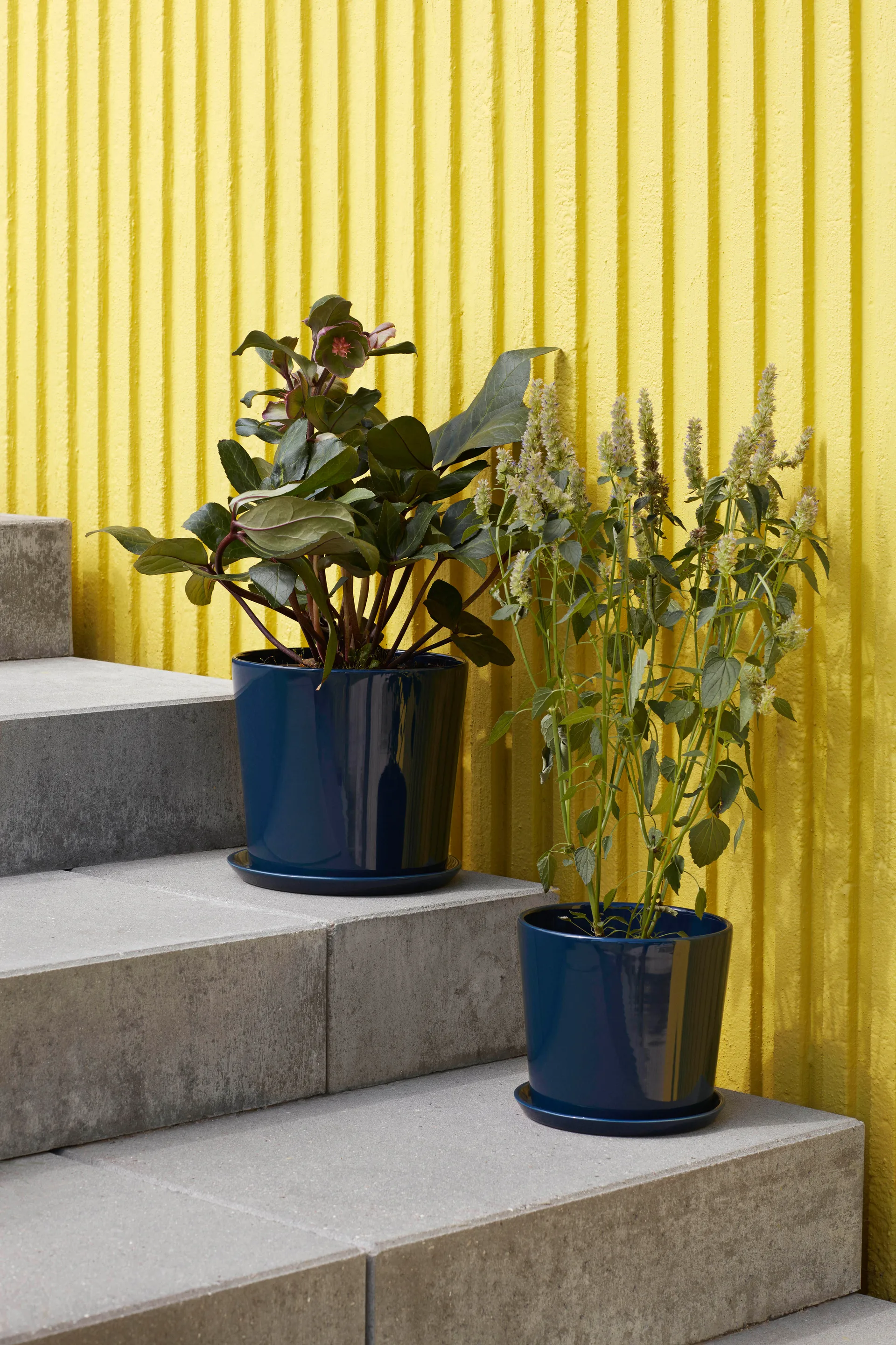 Vaso da fiori Botanical Family L Ø 18 cm, Blu scuro HAY