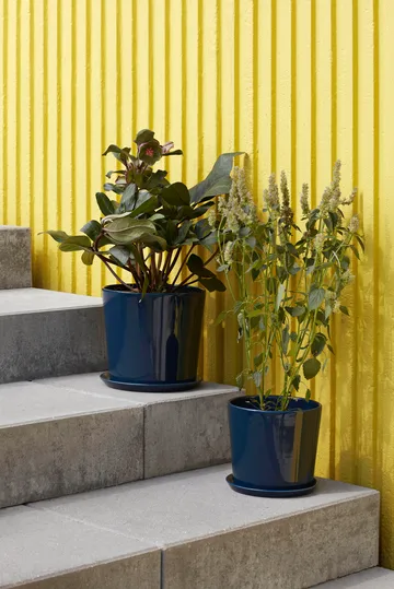 Vaso da fiori Botanical Family L Ø 18 cm - Blu scuro - HAY