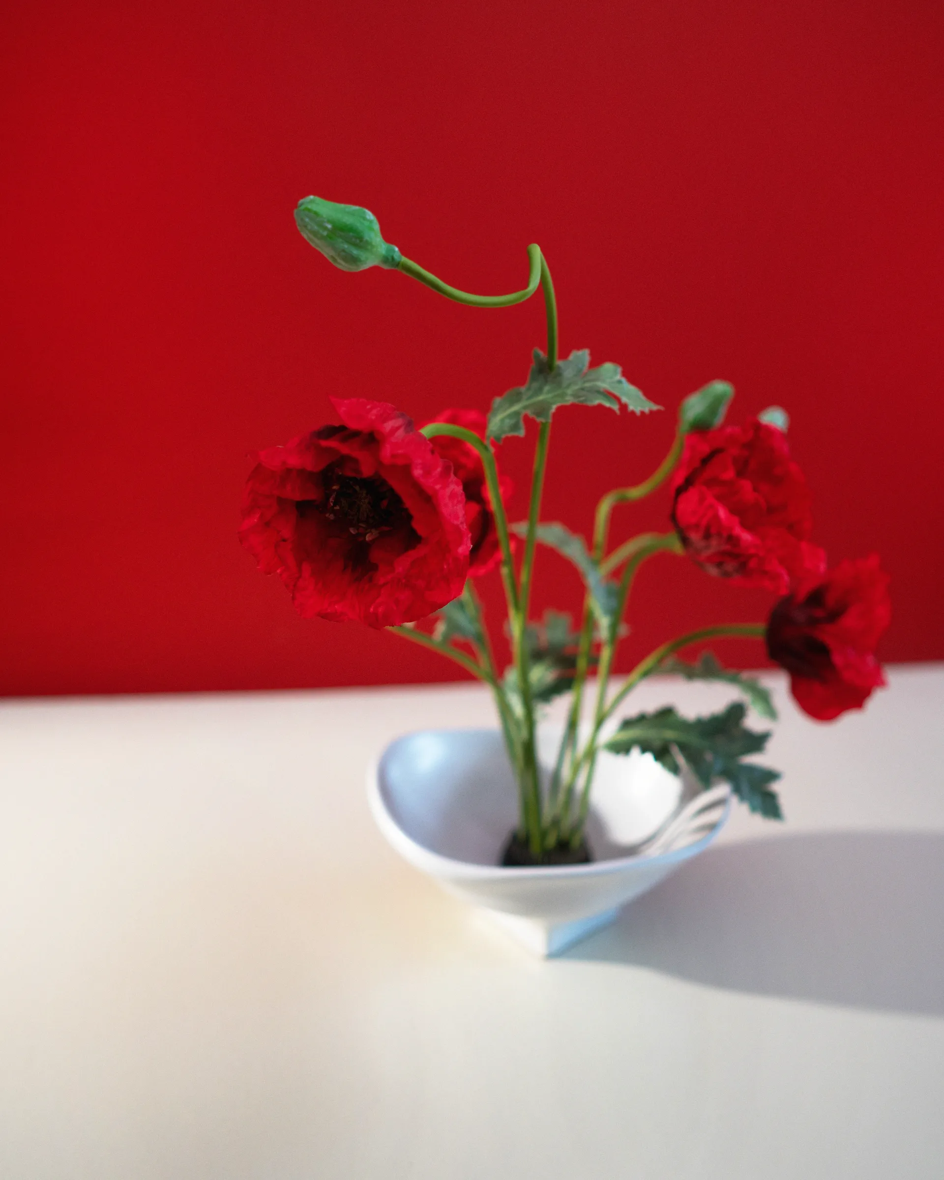 Ciotola grande Nami 20x23 cm, Bianco Hein Studio