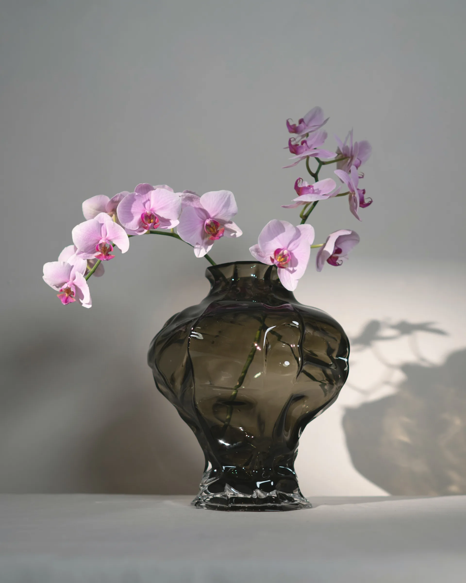 Vaso Ammonit 30 cm, New Smoke Hein Studio