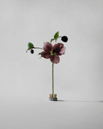 Vaso Kenzan - Ø2,3 cm - Hein Studio