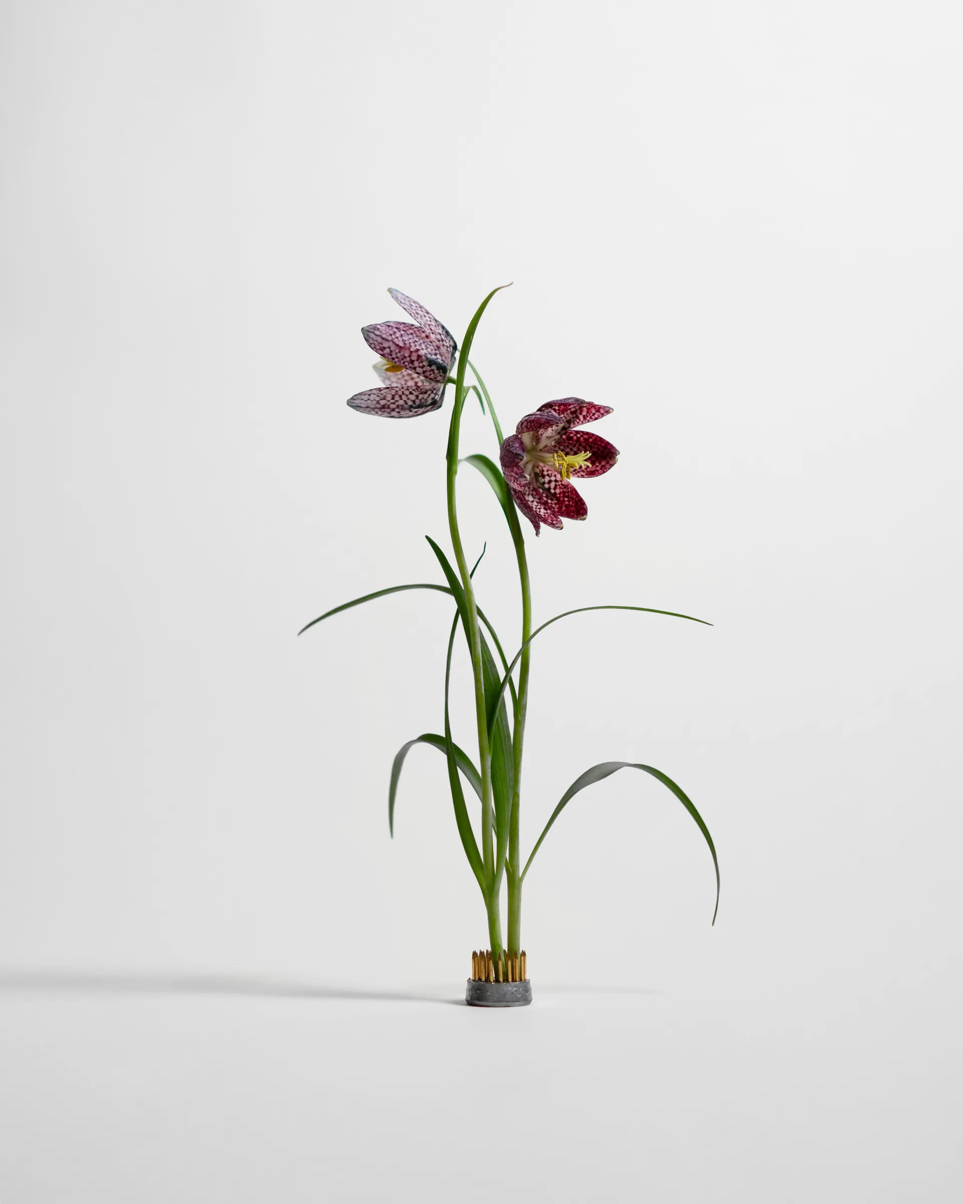 Vaso Kenzan, Ø2,3 cm Hein Studio