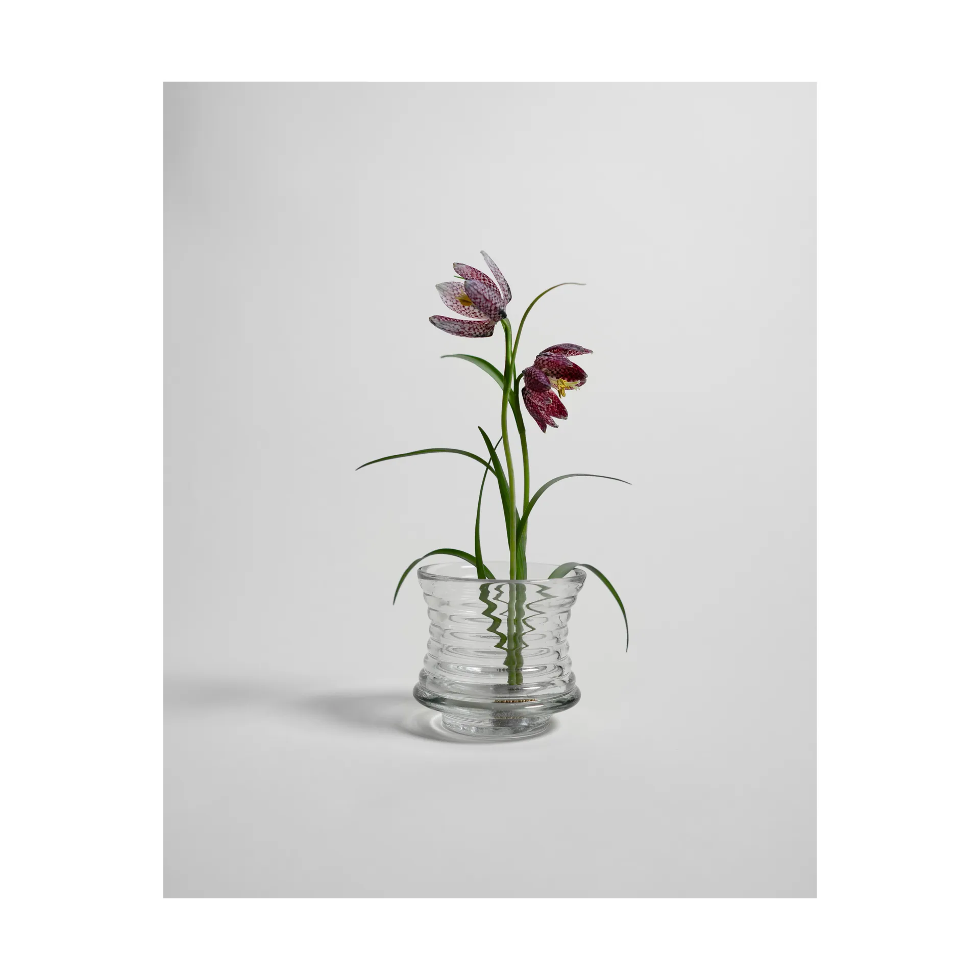 Vaso Kenzan, Ø6 cm Hein Studio