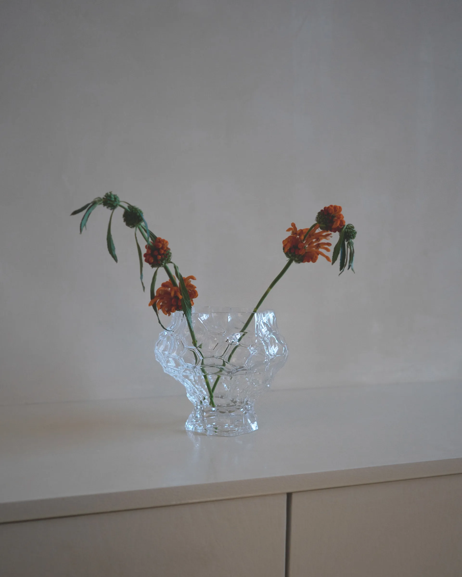 Vaso medio Canyon 18 cm, Clear Hein Studio