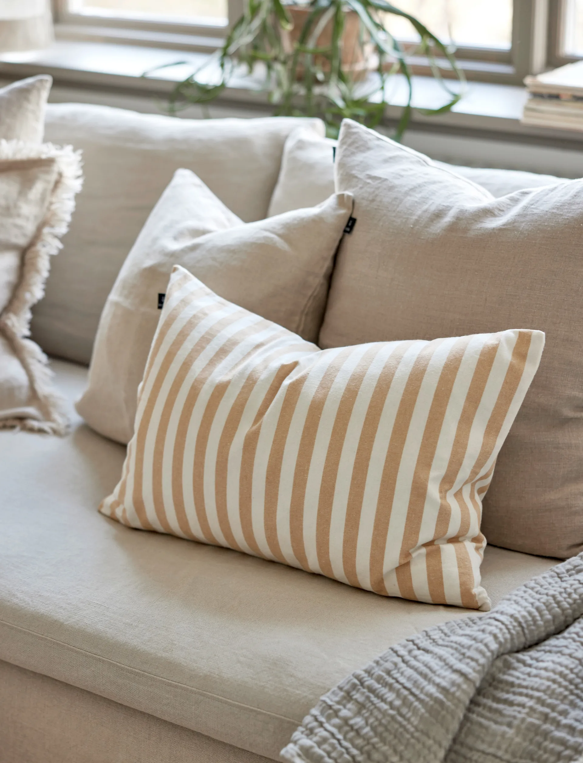 Copricuscino Bretagne, Grano, 40x60 cm Himla