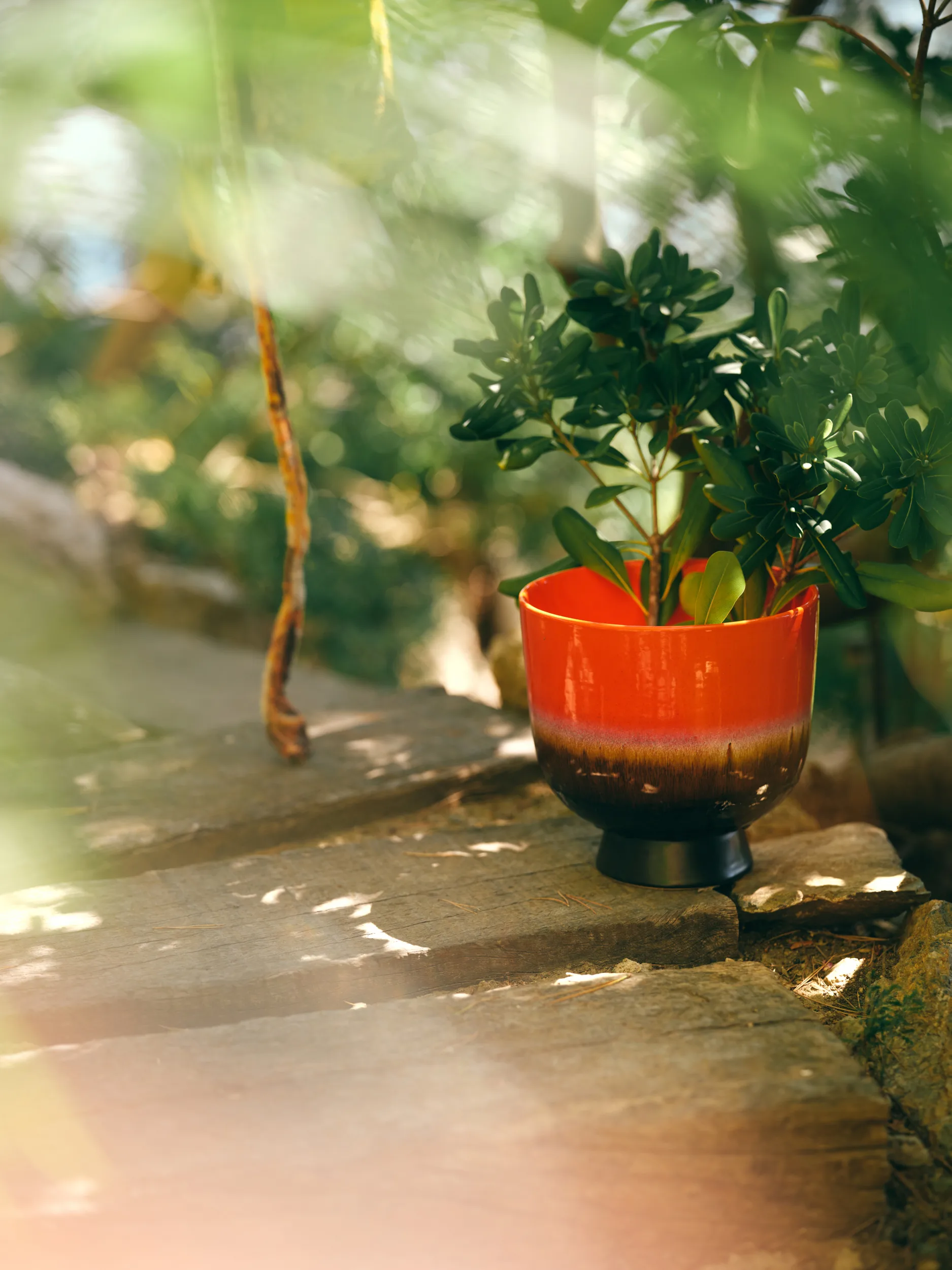 Vaso per piante retrò Ø20,5 cm, Cherry red HKliving