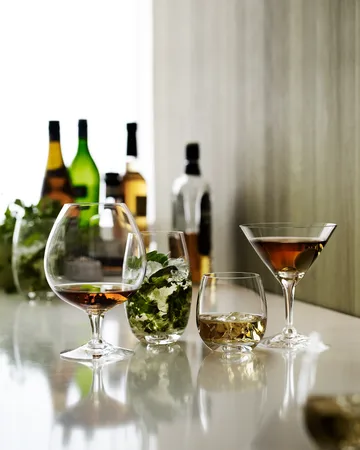 Bicchiere da cocktail Fontaine - 25 cl - Holmegaard