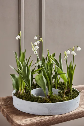 Portacandele per candele a blocco The Ring - Calcestruzzo - House Doctor