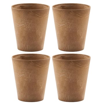 Tazza Serveur confezione da 4 - oro - House Doctor