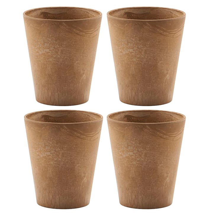 Tazza Serveur confezione da 4, oro House Doctor