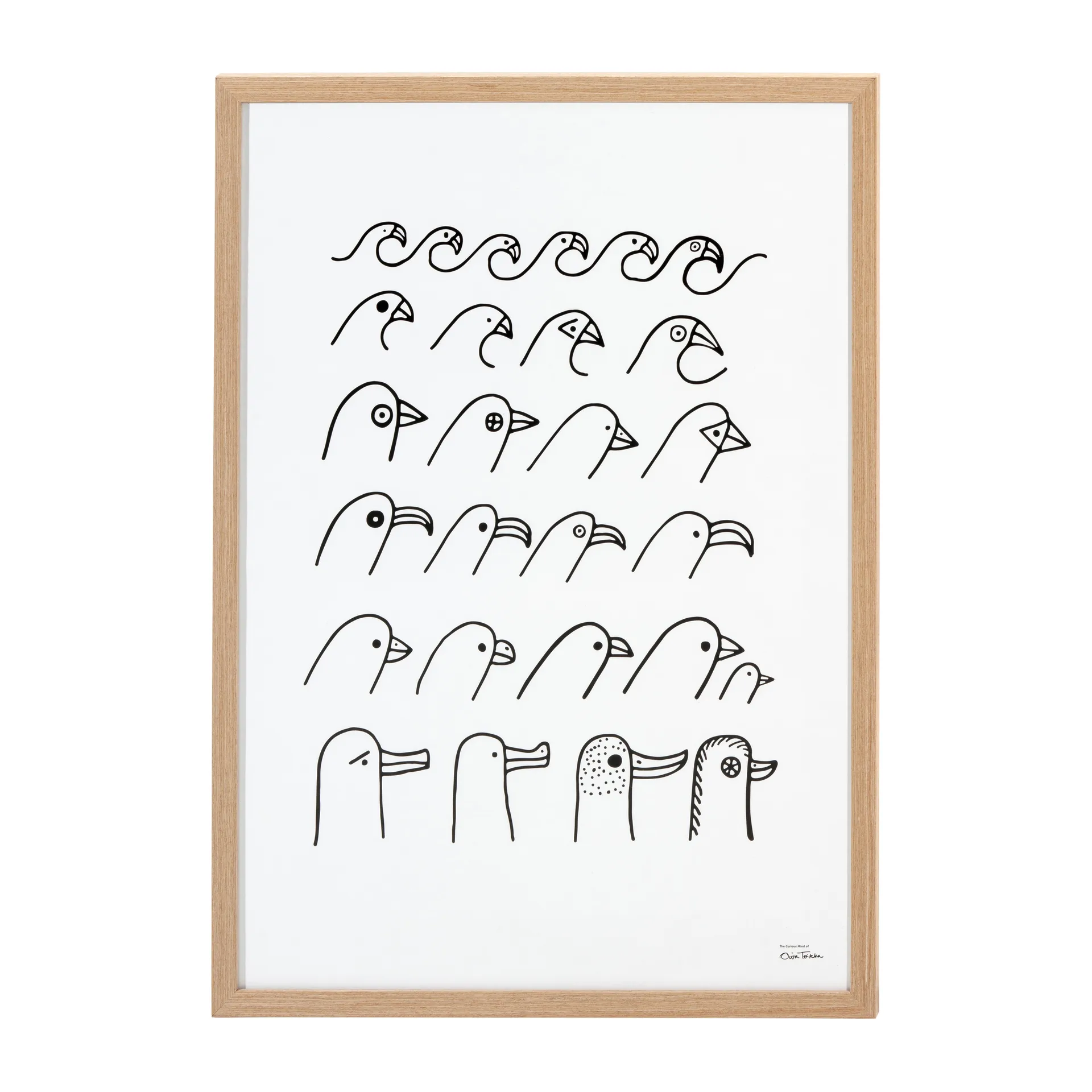 Poster Bird house Oiva Toikka, 50x70 cm Iittala